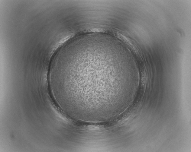 X0000116060394200912041858