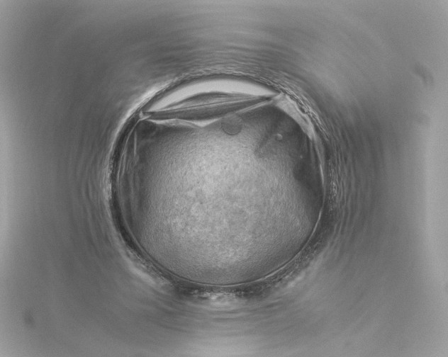 X0000116060395200912041858