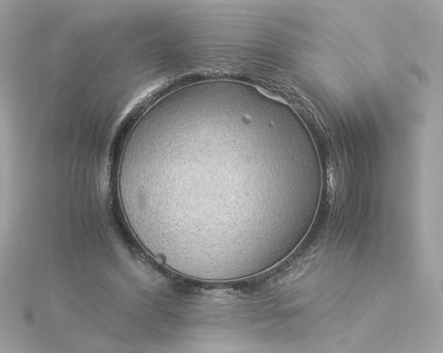 X0000116060396200912041858