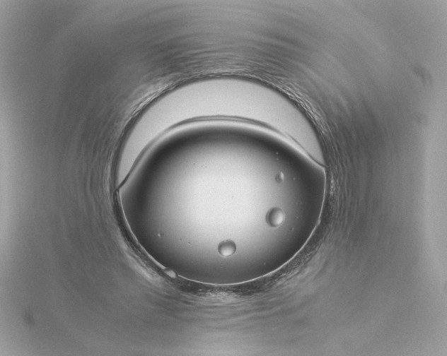 X0000116060397200912041858