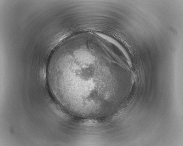 X0000116060398200912041858