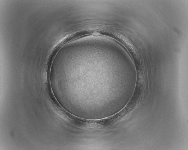 X0000116060399200912041858