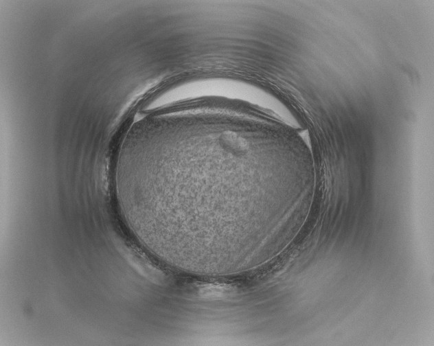 X0000116060400200912041858