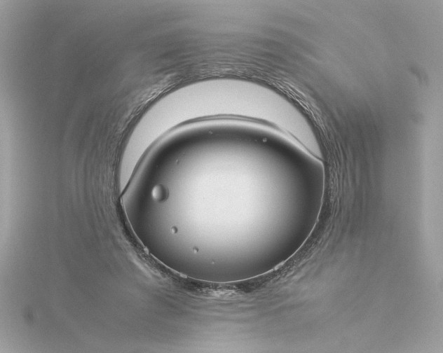 X0000116060401200912041858