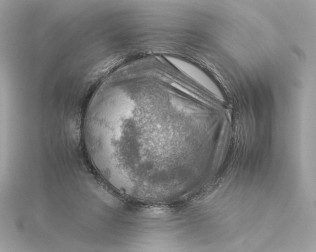 X0000116060402200912041858