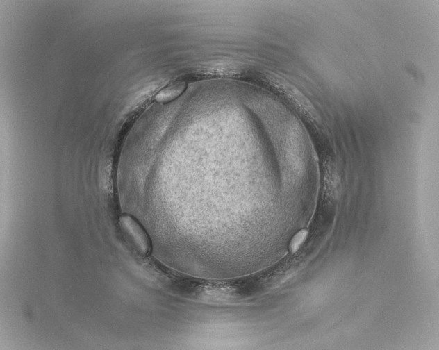 X0000116060403200912041858