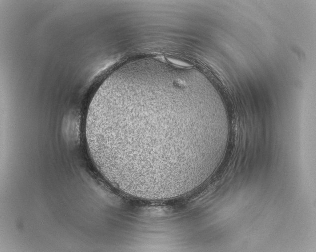 X0000116060404200912041858