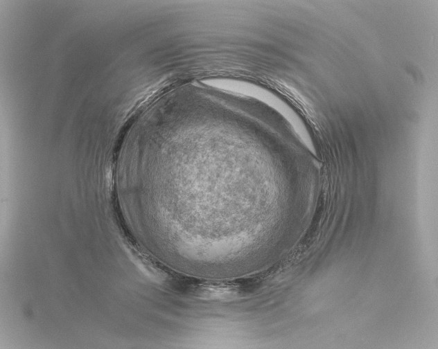 X0000116060405200912041858