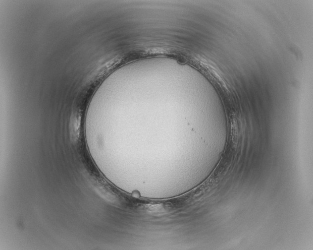 X0000116060406200912041858