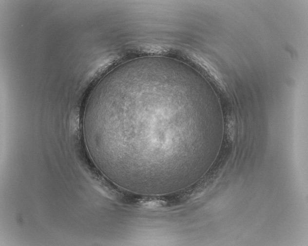 X0000116060407200912041858