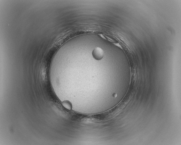 X0000116060408200912041858