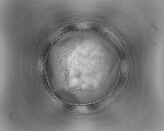 X0000116060409200912041858