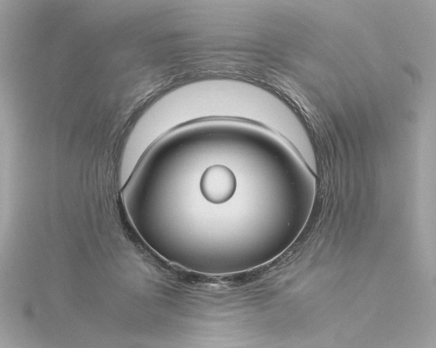 X0000116060411200912041858