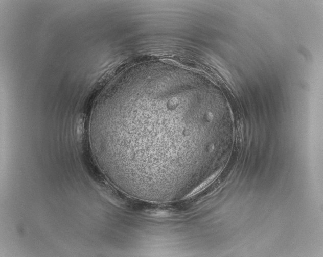 X0000116060412200912041858