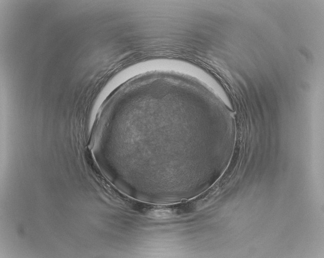 X0000116060413200912041858