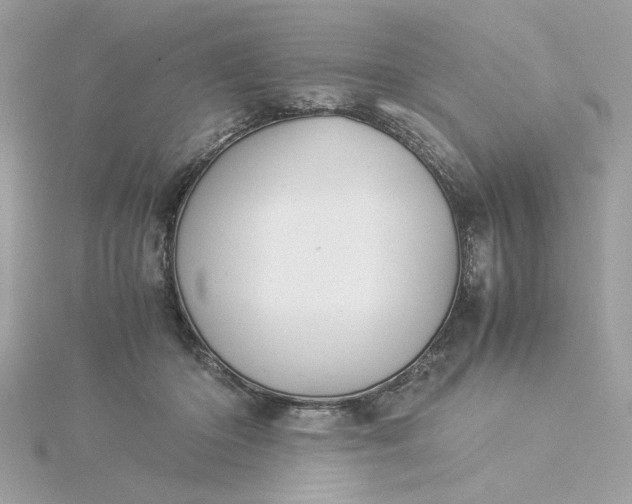 X0000116060414200912041858