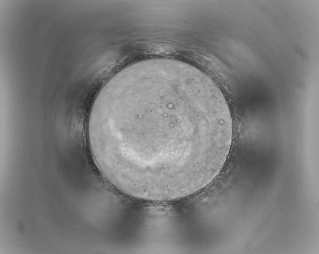 X0000116060415200912041858