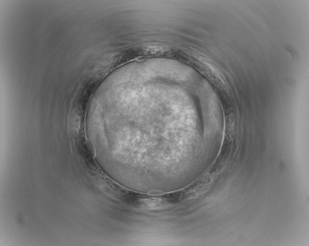 X0000116060417200912041858