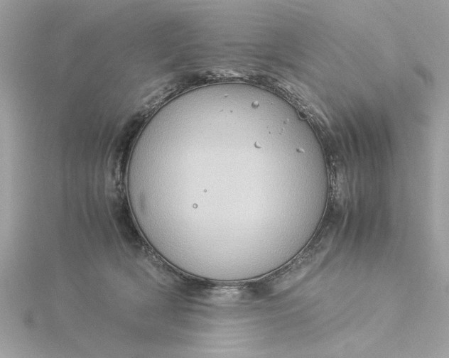 X0000116060418200912041858