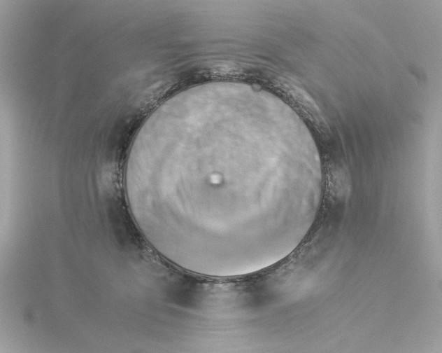 X0000116060419200912041858