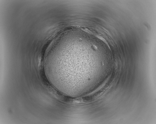 X0000116060420200912041858