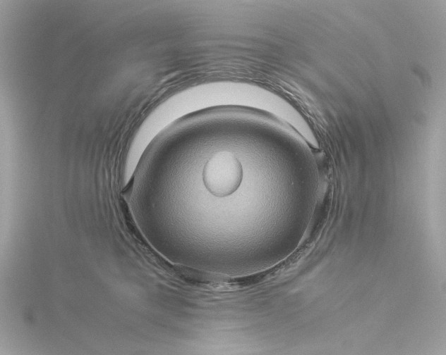 X0000116060421200912041858