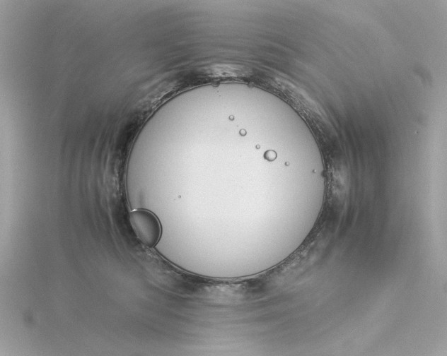 X0000116060422200912041858