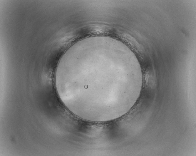 X0000116060423200912041858