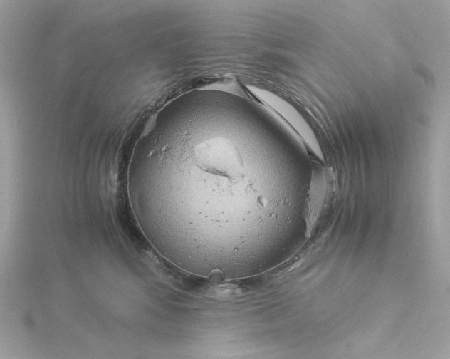 X0000116060424200912041858