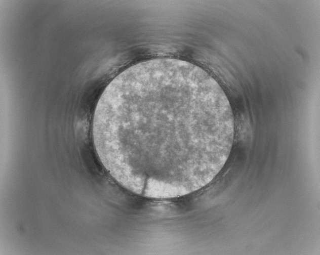 X0000116060427200912041858