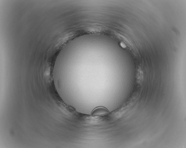 X0000116060428200912041858