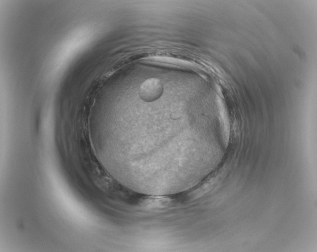 X0000116060429200912041858