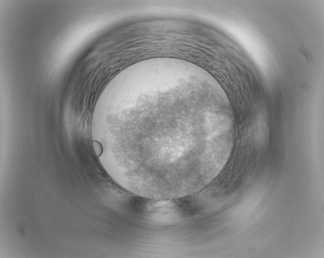 X0000116060431200912041858