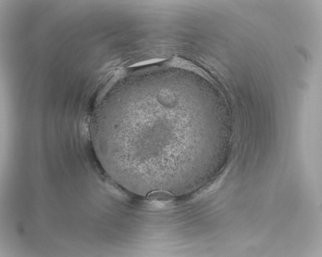 X0000116060432200912041858