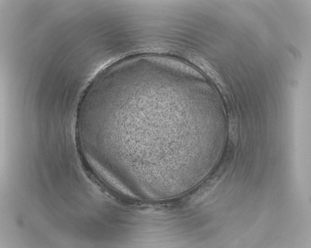 X0000116060434200912041857