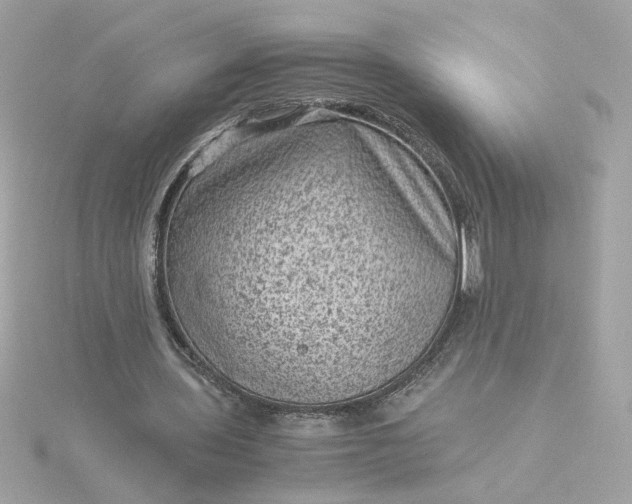 X0000116060435200912041857