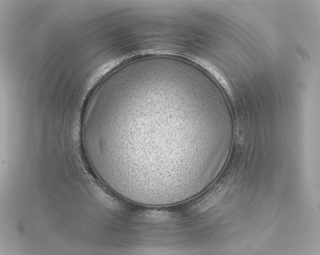 X0000116060437200912041857