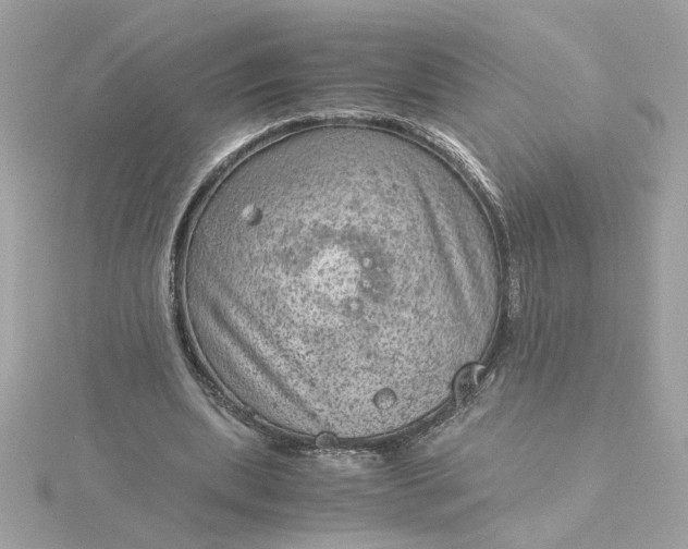 X0000116060439200912041857