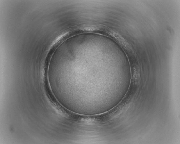 X0000116060440200912041857