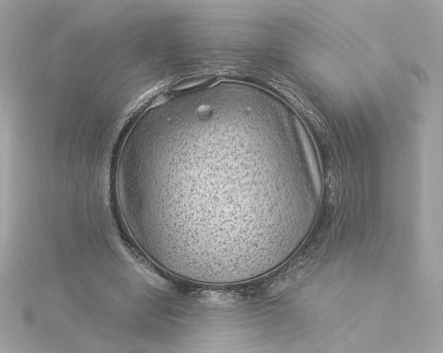 X0000116060442200912041857