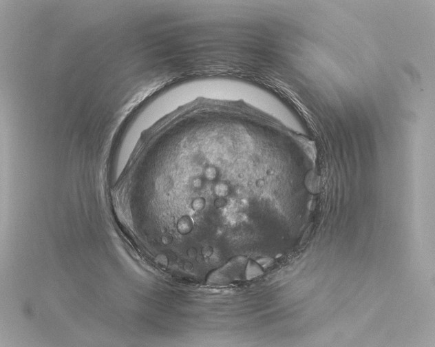 X0000116060443200912041857