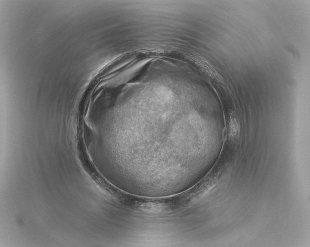 X0000116060444200912041857