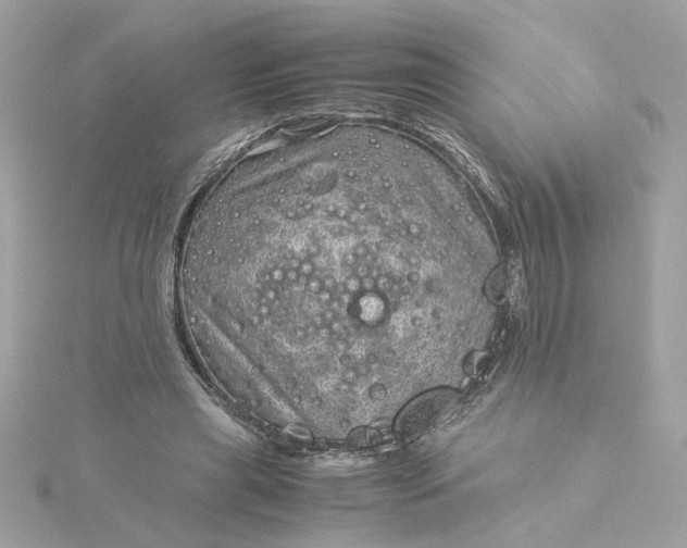 X0000116060445200912041857