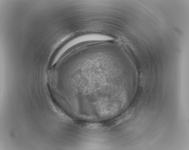 X0000116060446200912041857