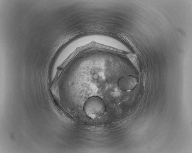 X0000116060447200912041857