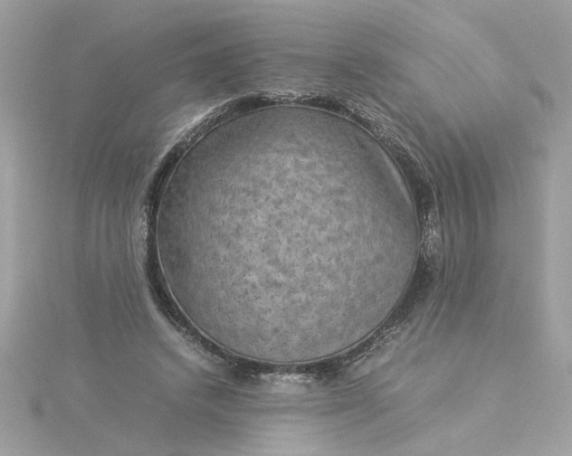 X0000116060448200912041857