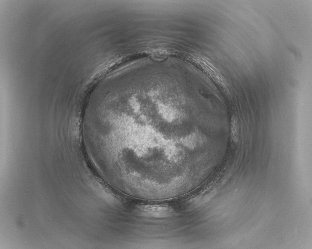 X0000116060449200912041857