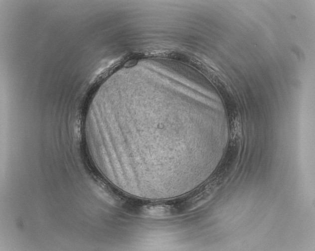 X0000116060452200912041857