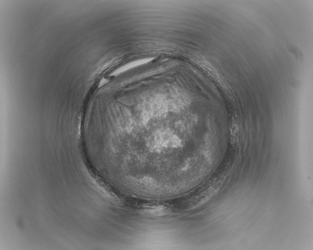 X0000116060454200912041857