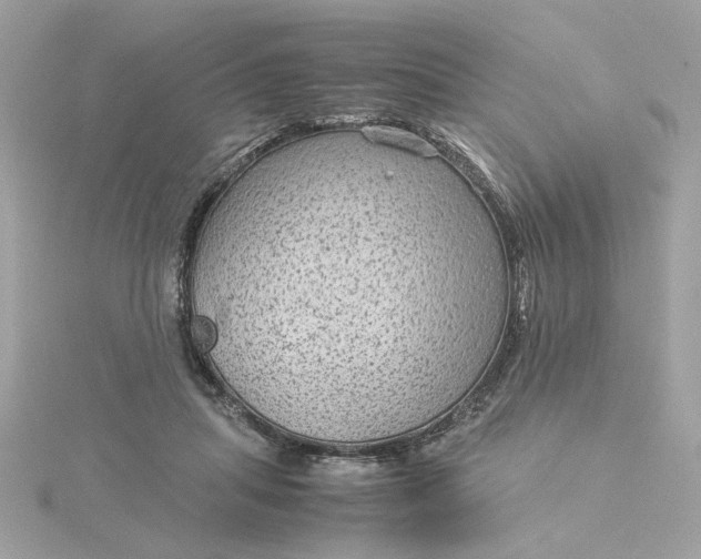 X0000116060455200912041857